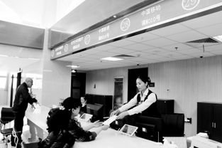 寧夏移動信息服務業務進駐市民大廳，開啟便民服務新篇章